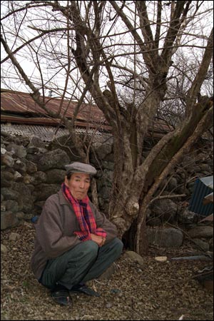 할아버지 산수유 시목 앞에서. 달전마을 유재문(80) 할아버지. 